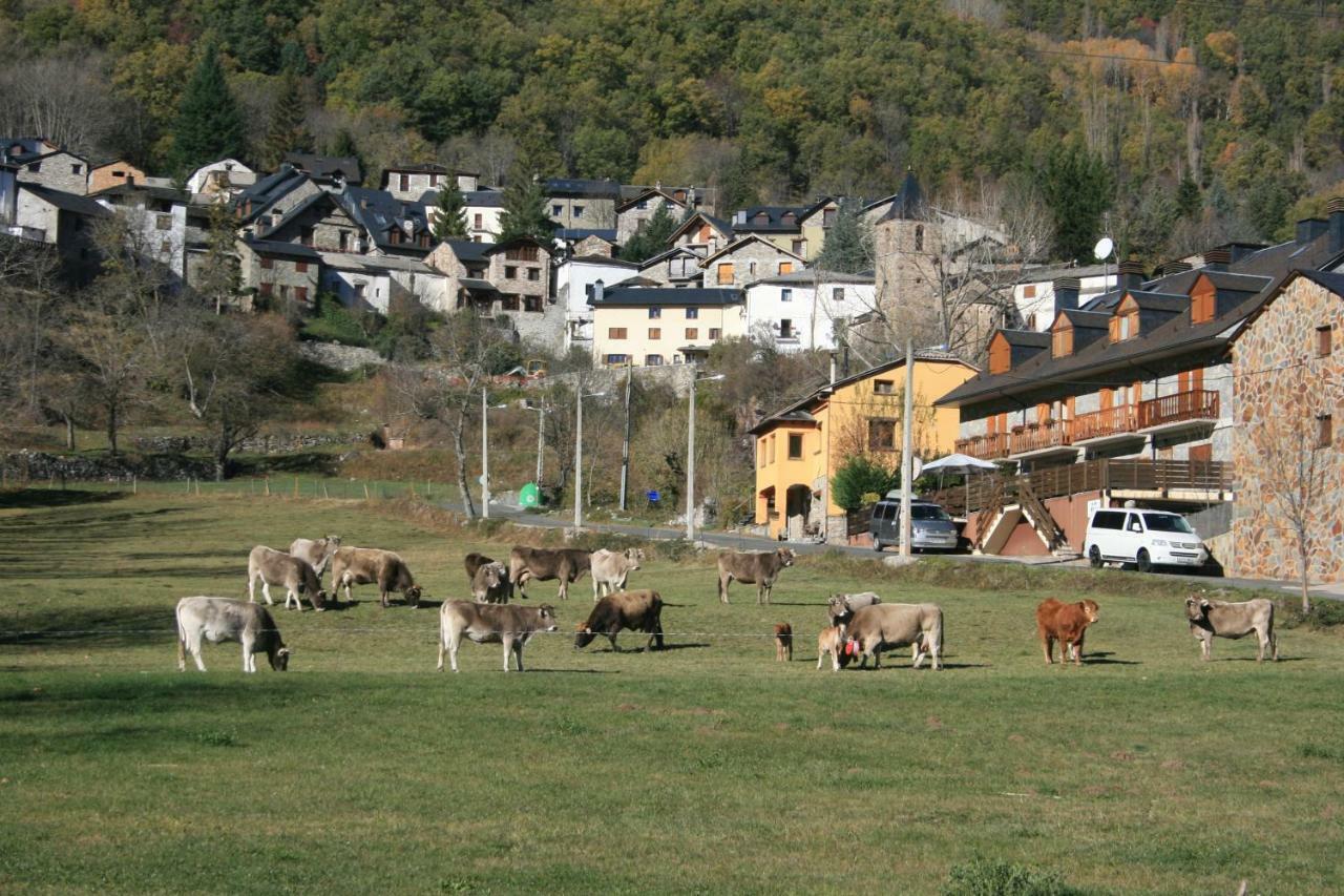Appartamento Ésera Dos Catedrales Villanova Esterno foto